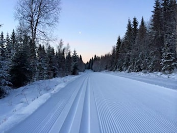 Oppkjørte skiløyper